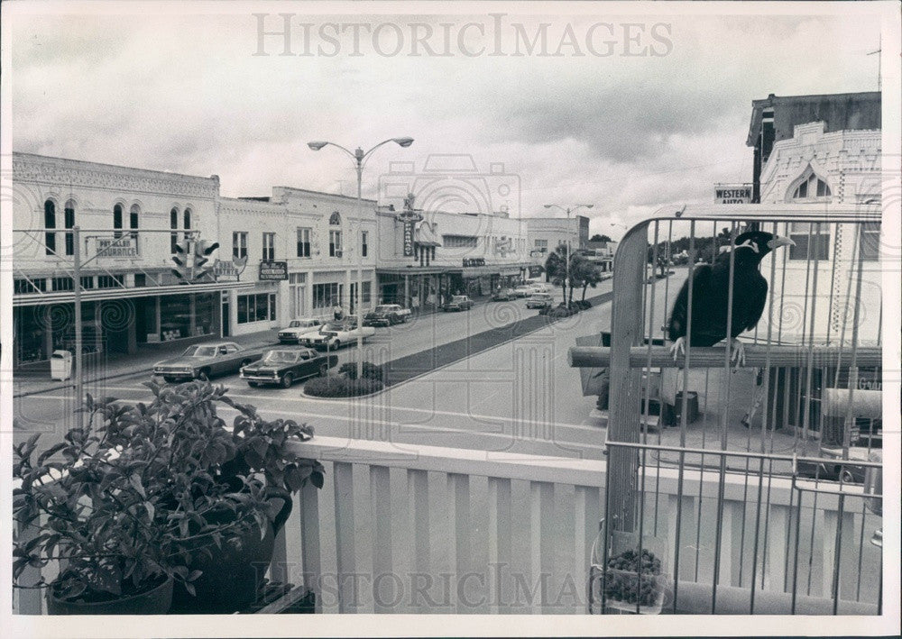 1969 Kissimmee, Florida Downtown Press Photo - Historic Images