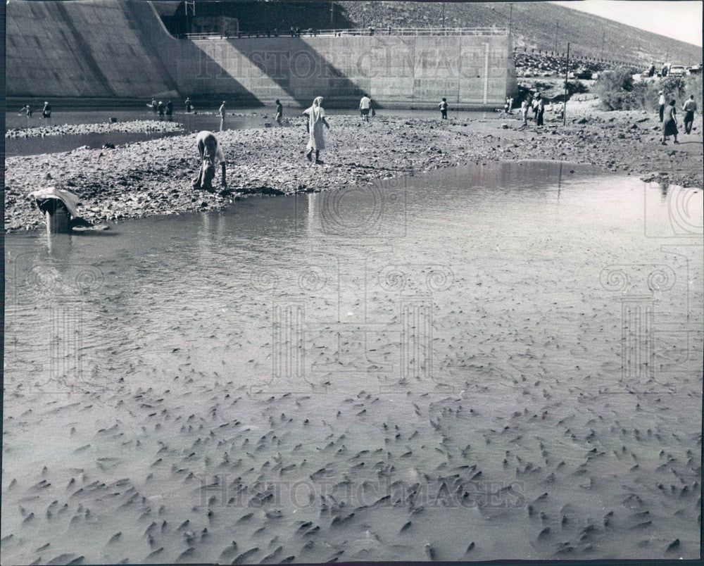 1959 Colorado Martin Dam &amp; Reservoir on Arkansas River Press Photo - Historic Images