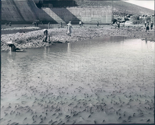 1959 Colorado Martin Dam & Reservoir on Arkansas River Press Photo - Historic Images