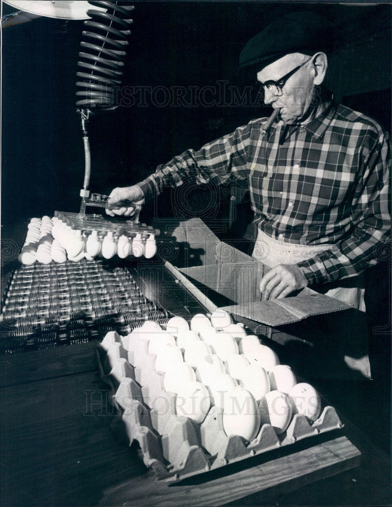 1970 New Jersey Otto Rode Egg Processing Corp, Wilbird More Press Photo - Historic Images