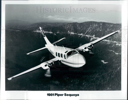 1981 Piper Sequoia Aircraft Press Photo - Historic Images
