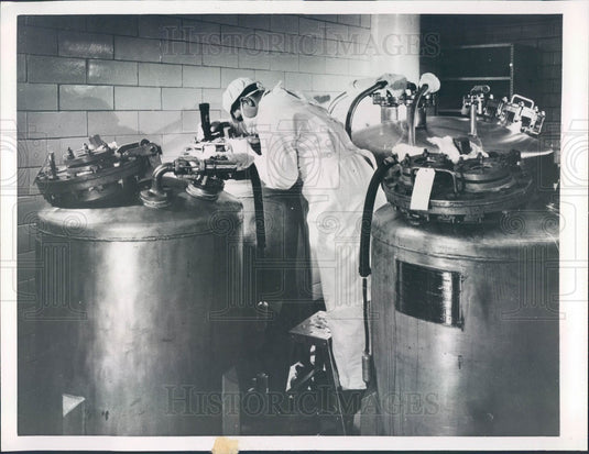 1956 Salk Polio Vaccine Production Press Photo - Historic Images