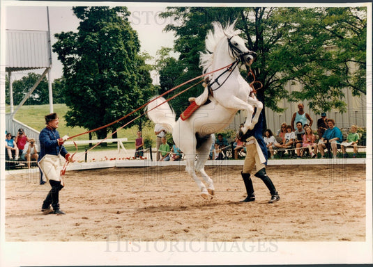 1993 Lipizzan Stallion Performs Courbette Press Photo - Historic Images