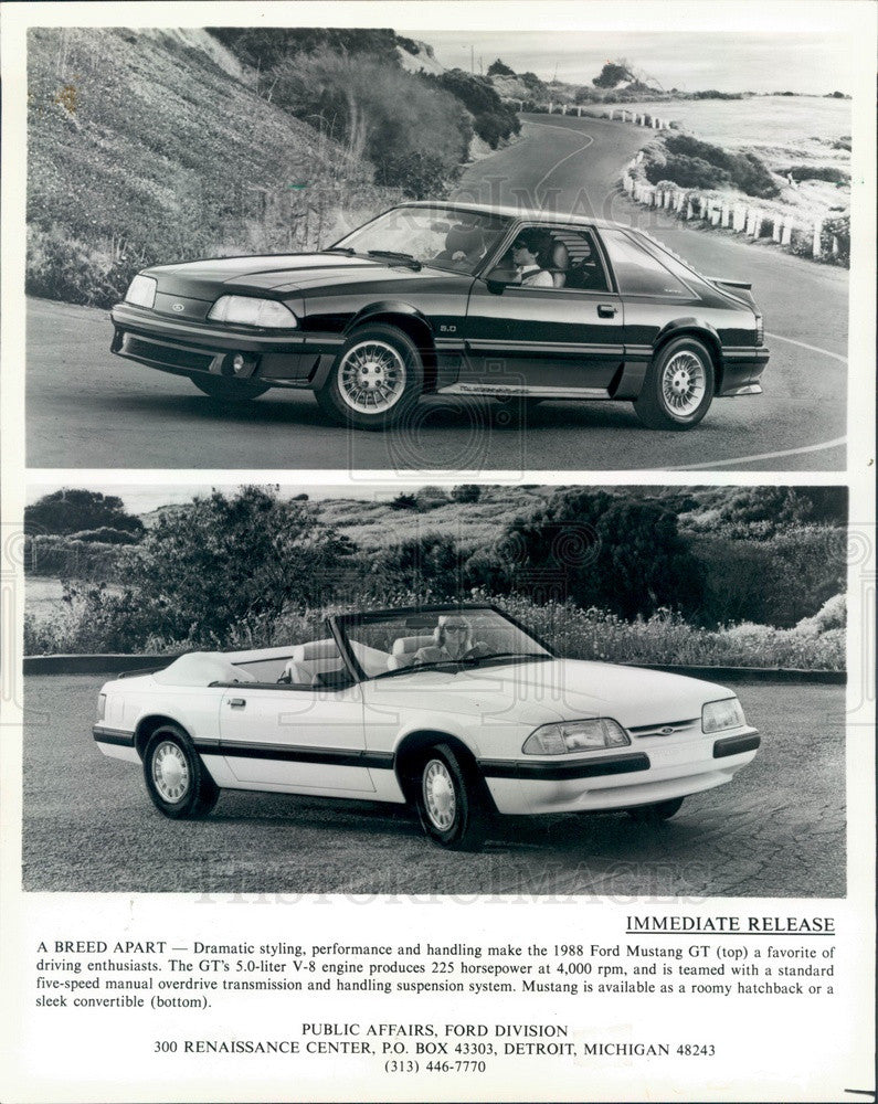 1988 Ford Mustang 1988 GT Convertible &amp; Hatchback Press Photo - Historic Images