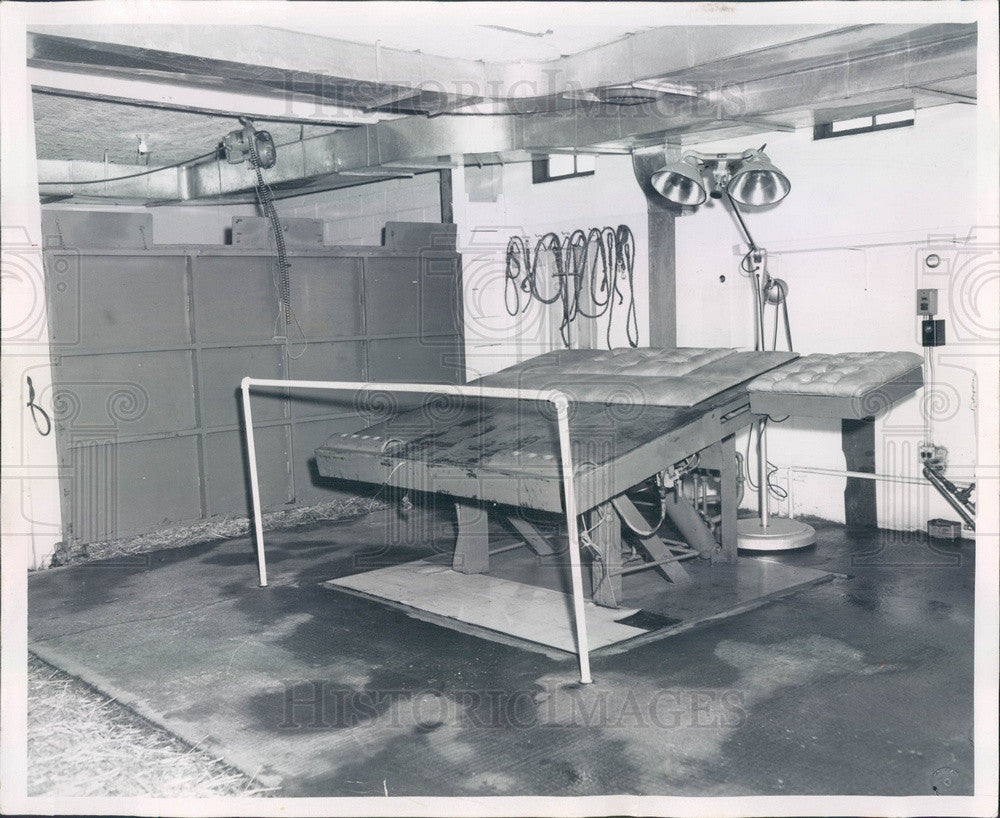 1955 Chicago, Illinois Race Horse Hospital Operating Room Press Photo - Historic Images