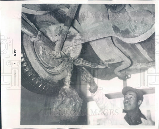 1959 Chicago, IL Cat with 12-Pound Block of Ice Frozen to its Tail Press Photo - Historic Images
