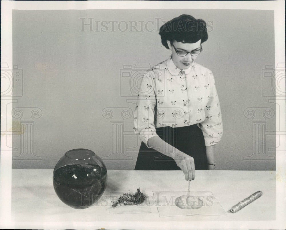1955 Chicago, Illinois Visking Corp Seaweed Sausage Casing Press Photo - Historic Images