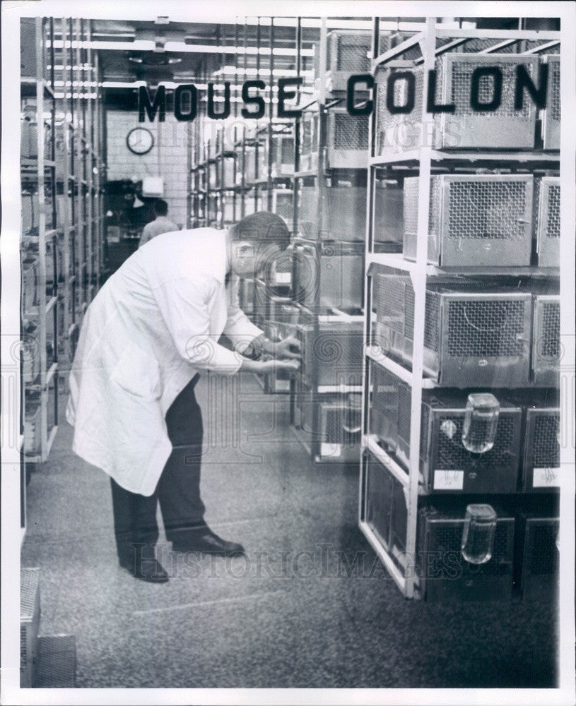 1960 Detroit, Michigan Institute of Cancer Research Biologist Press Photo - Historic Images