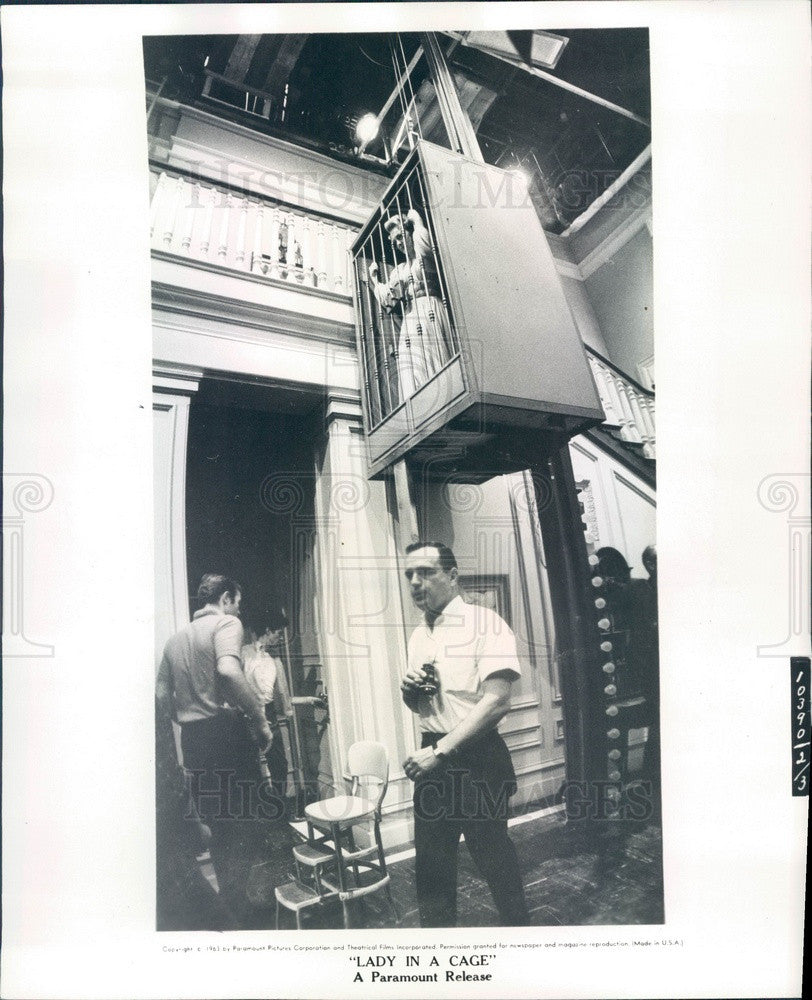 Undated British Actress &amp; Moive Star Olivia de Havilland Press Photo - Historic Images