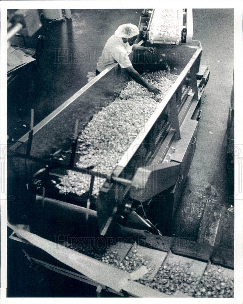 1993 Chicago, Illinois EJ Brach West Side Candy Plant Press Photo - Historic Images