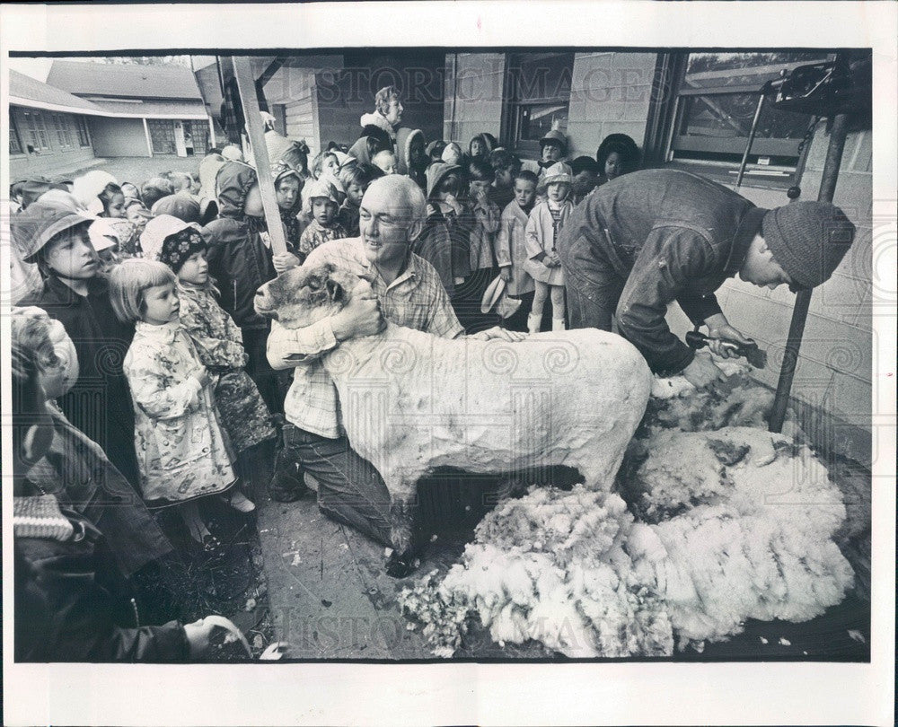 1969 Chicago, Illinois Sheep Shearing, Conner & Clark Shaw Press Photo - Historic Images