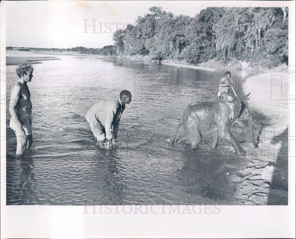 1999 Africa, Baby Elephant Press Photo - Historic Images