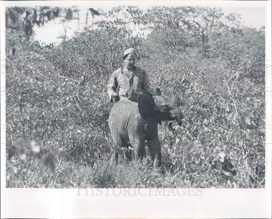 1999 Africa, Baby Elephant Press Photo - Historic Images
