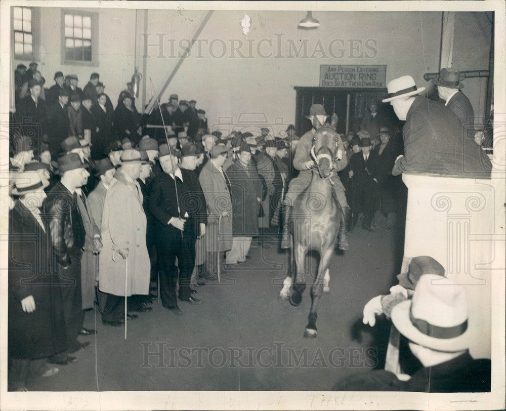 1939 Chicago, Illinois Aged Police Horse Auction Press Photo - Historic Images