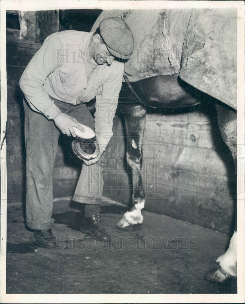 1939 Chicago, Illinois Police Horse Stable, Groom Paul Serotzke Press Photo - Historic Images