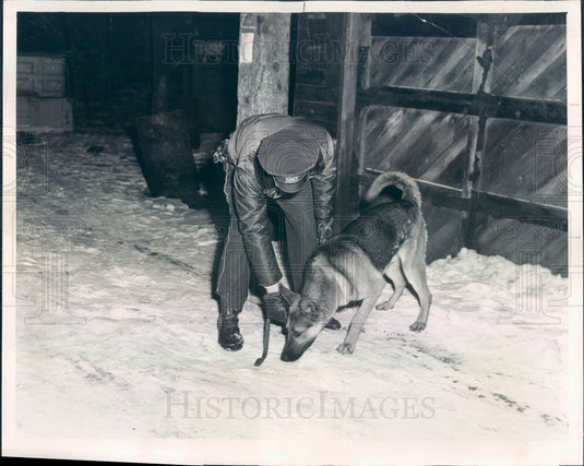 1962 Chicago, Illinois Police Officer James Keene & K-9 Prince Press Photo - Historic Images
