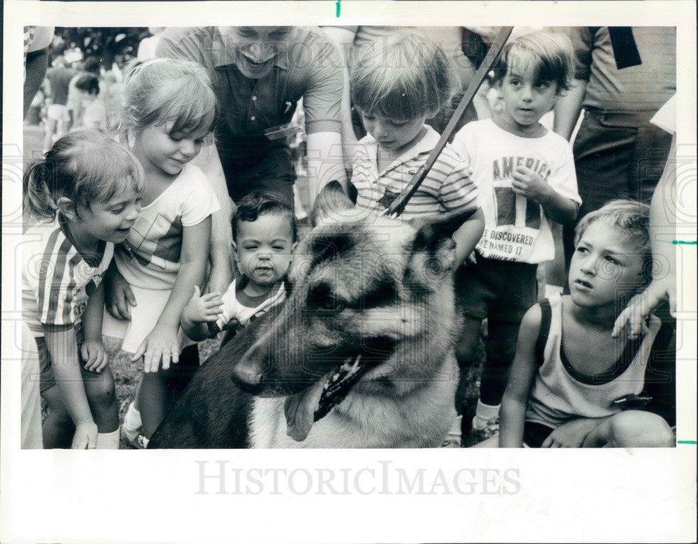 1984 Chicago, Illinois Police Dept K-9 Press Photo - Historic Images