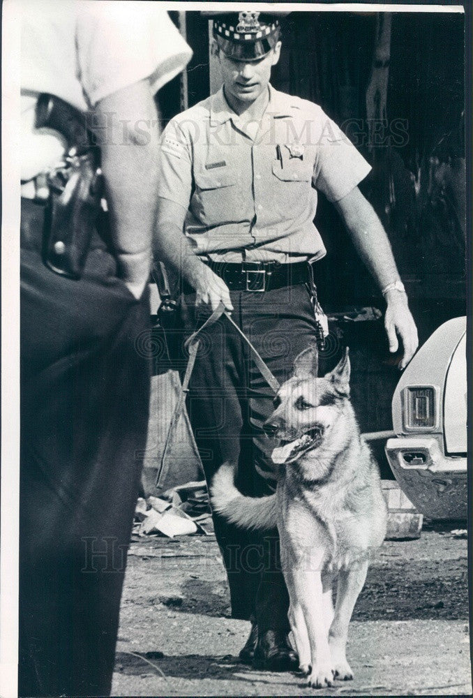 1972 Chicago, Illinois Police K-9 Unit Search for Murder Suspect Press Photo - Historic Images