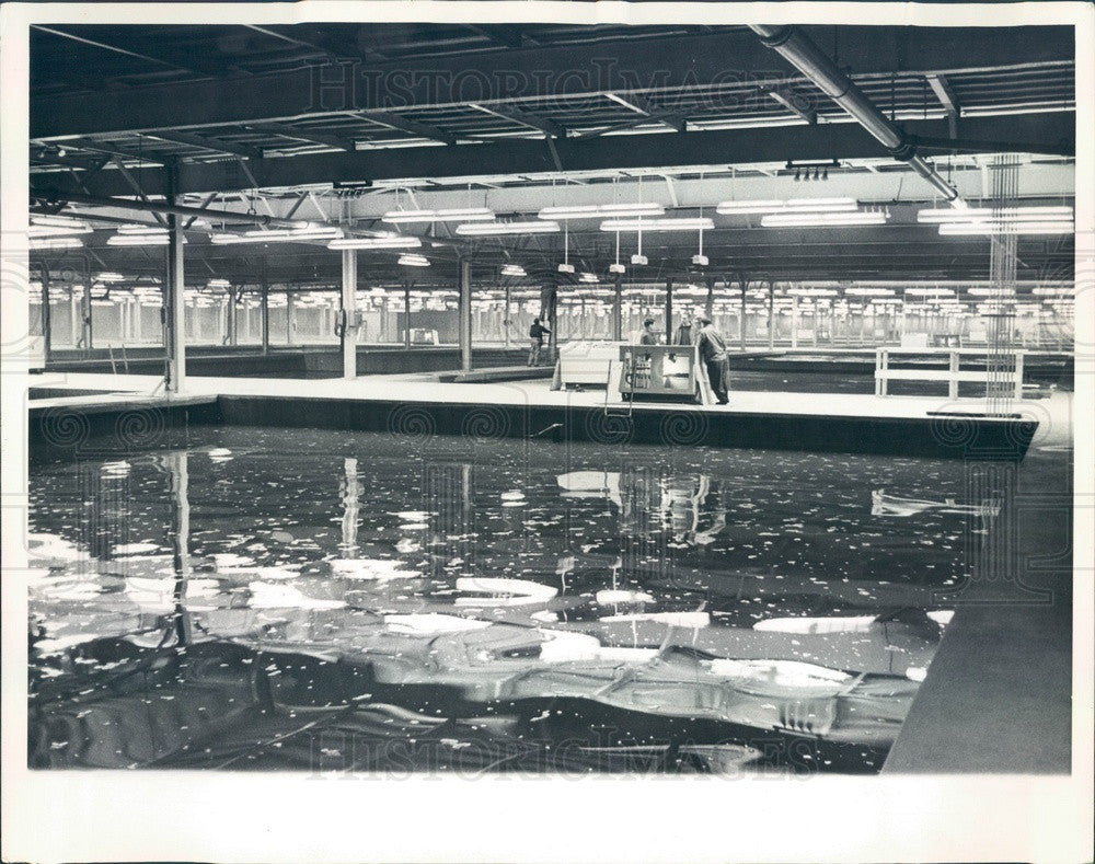 1964 Chicago, IL North Side Water Filtration Plant, Settling Basins Press Photo - Historic Images