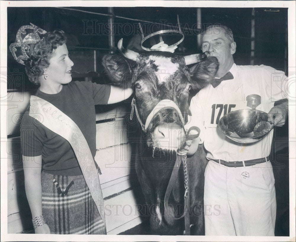 1958 Chicago, IL Intl Dairy Show Milking Shorthorn Assn Queen Press Photo - Historic Images