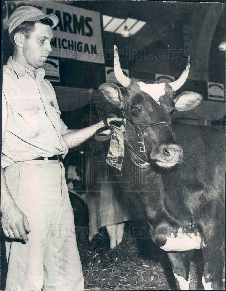1954 Chicago, IL Intl Dairy Show Jr Champion Ayrshire Press Photo - Historic Images