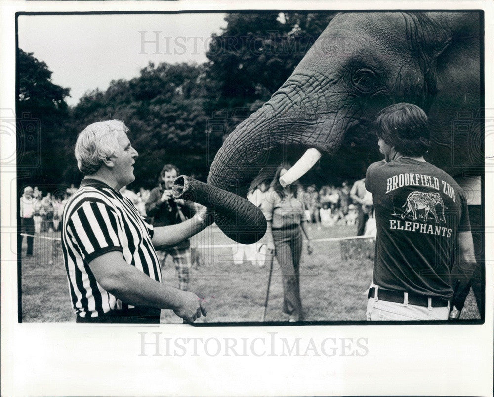 1982 Chicago, Illinois Brookfield Zoo Elephant Press Photo - Historic Images