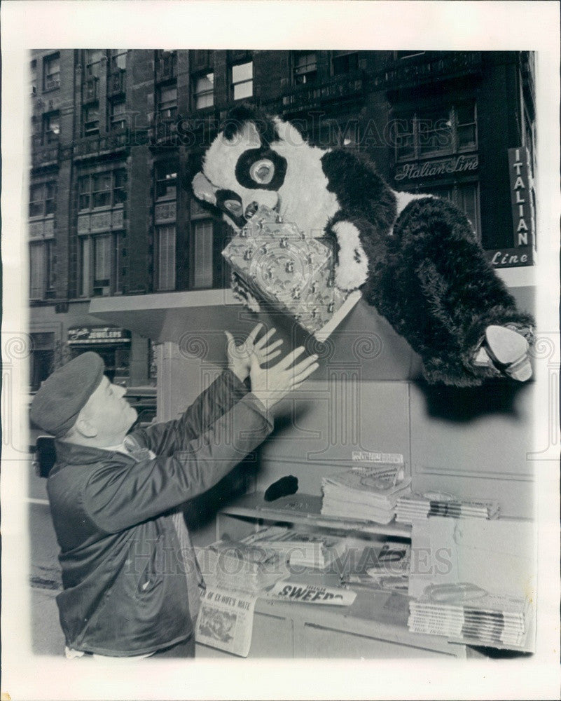 1965 Chicago, IL Sweetest News Vendor Anthony Piegari Press Photo - Historic Images
