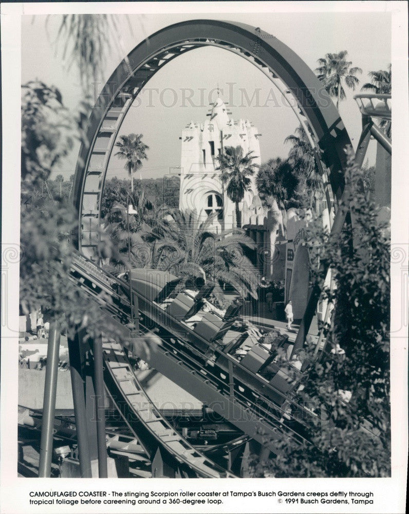 1993 Tampa, Florida Busch Gardens Stinging Scorpion Roller Coaster Press Photo - Historic Images