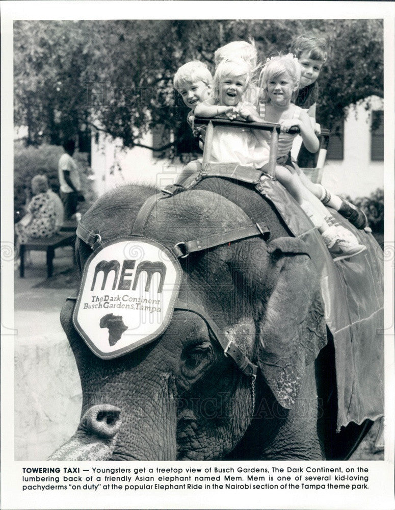 1986 Tampa, Florida Busch Gardens Asian Elephant Ride Press Photo - Historic Images