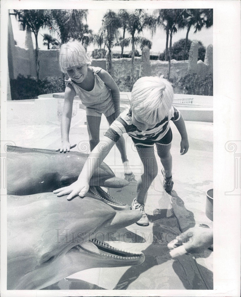 1979 Tampa, Florida Busch Gardens Dolphins Press Photo - Historic Images