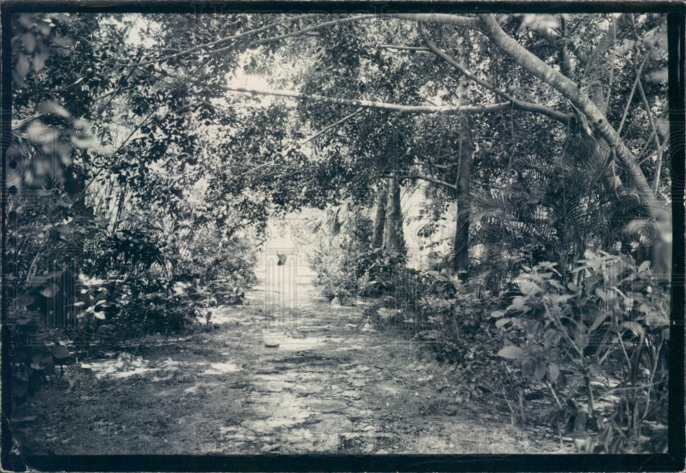 Undated Fort Myers, Florida Inventor Thomas Edison Estate Walkway Press Photo - Historic Images