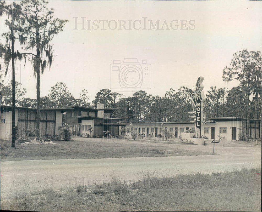 1960 St Petersburg, Florida Butterfly Motel Press Photo - Historic Images