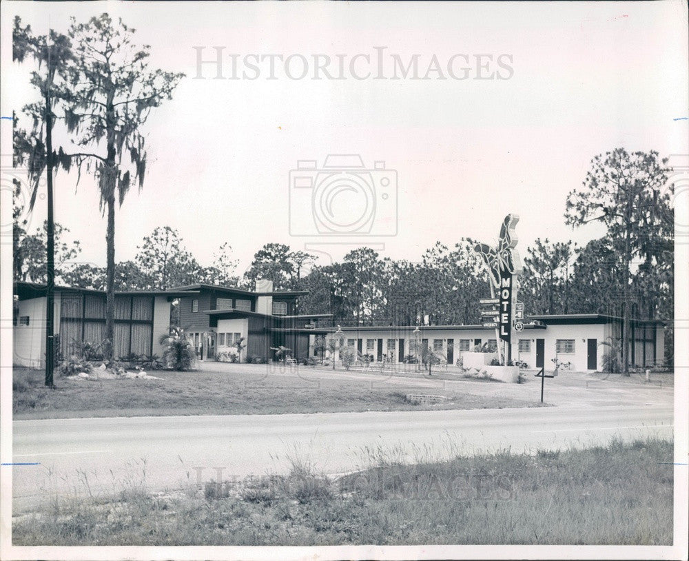 1962 St Petersburg, Florida Butterfly Motel Press Photo - Historic Images