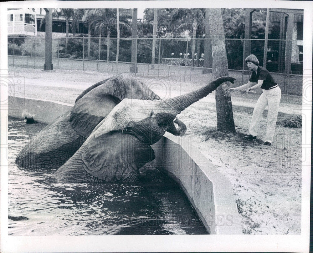 1982 Tampa, Florida Busch Gardens Elephants & Zoo Education Director Press Photo - Historic Images