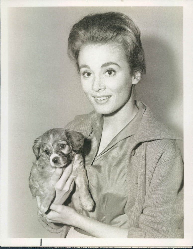 1963 Hollywood &amp; Broadway Actress Sandra Church Press Photo - Historic Images