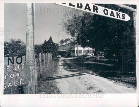 1970 Punta Gorda, Florida Cedar Oaks Historic House Press Photo - Historic Images