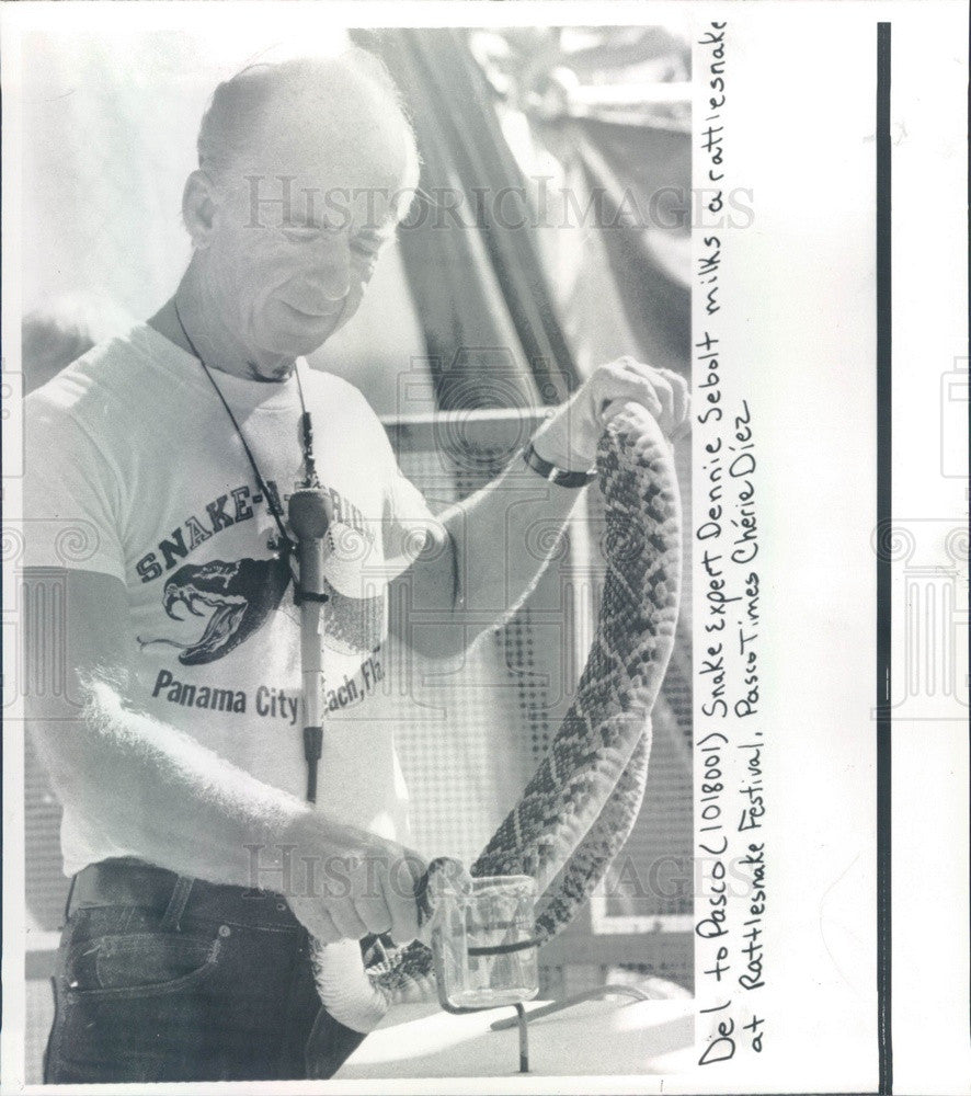 1980 San Antonio, Florida Rattlesnake Festival, Dennie Sebolt Press Photo - Historic Images