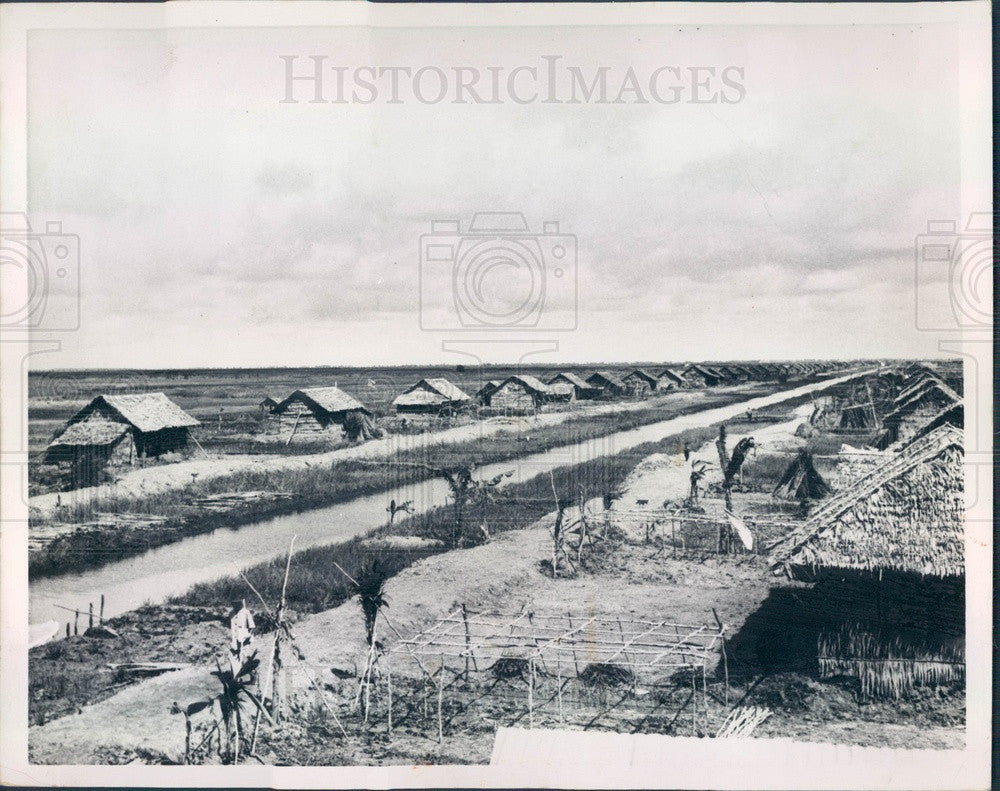 1958 South Vietnam Rice Farms Press Photo - Historic Images