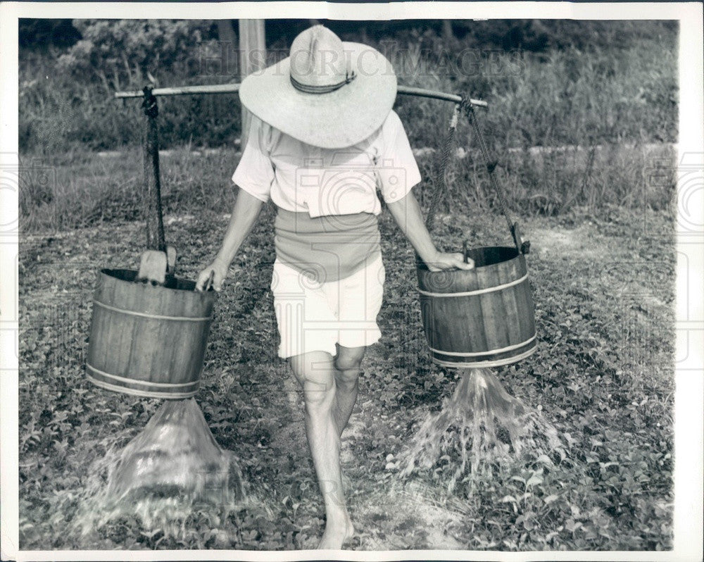 1942 Kobe, Japan Farmer Carries Yoke of Water for Strawberries Press Photo - Historic Images