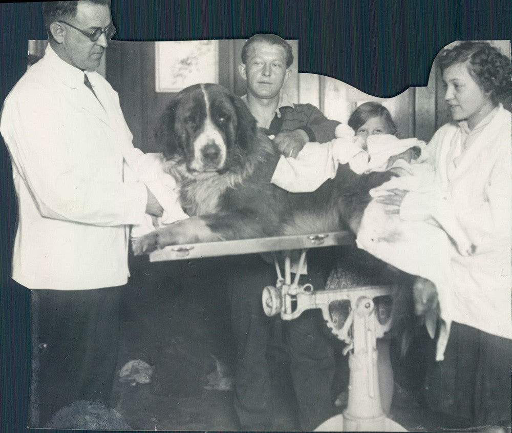 1928 Denver, Colorado Veterinarian Dr. A.A. Hermann, Henry Hoffman Press Photo - Historic Images