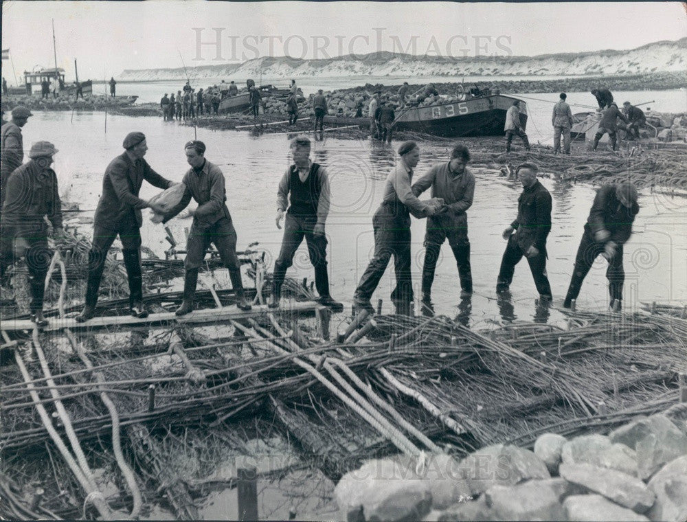 1956 Netherlands, Workers Sink Woven Willow Mats to Control Flooding Press Photo - Historic Images