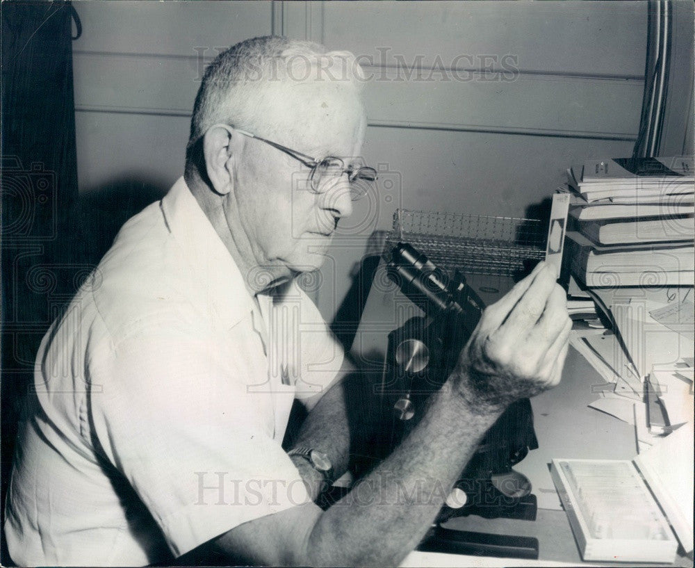 1965 Algae Fossil Expert Dr J Harlan Johnson of CO School of Mines Press Photo - Historic Images