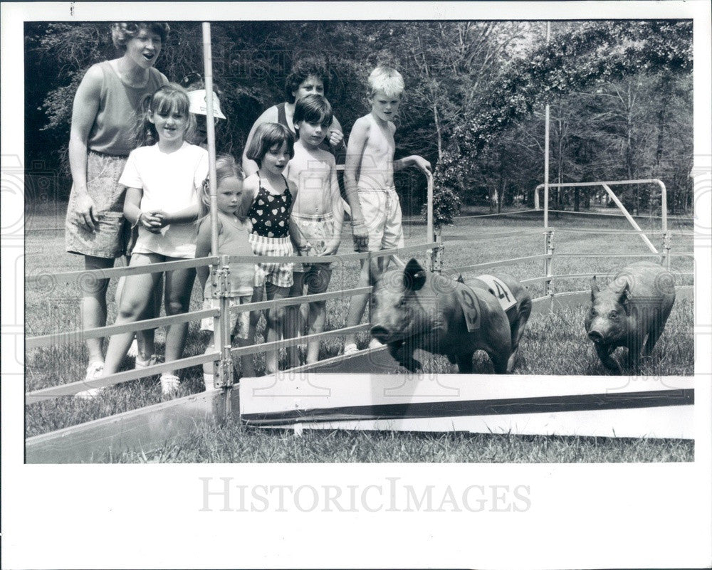 1990 Detroit, Michigan Pig Races, Lang Waterpark Press Photo - Historic Images