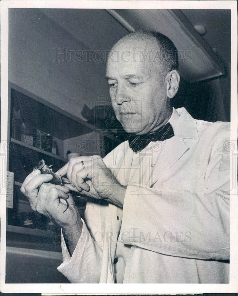 1965 Chemotherapy Researcher Dr. Joseph Burchenal Press Photo - Historic Images