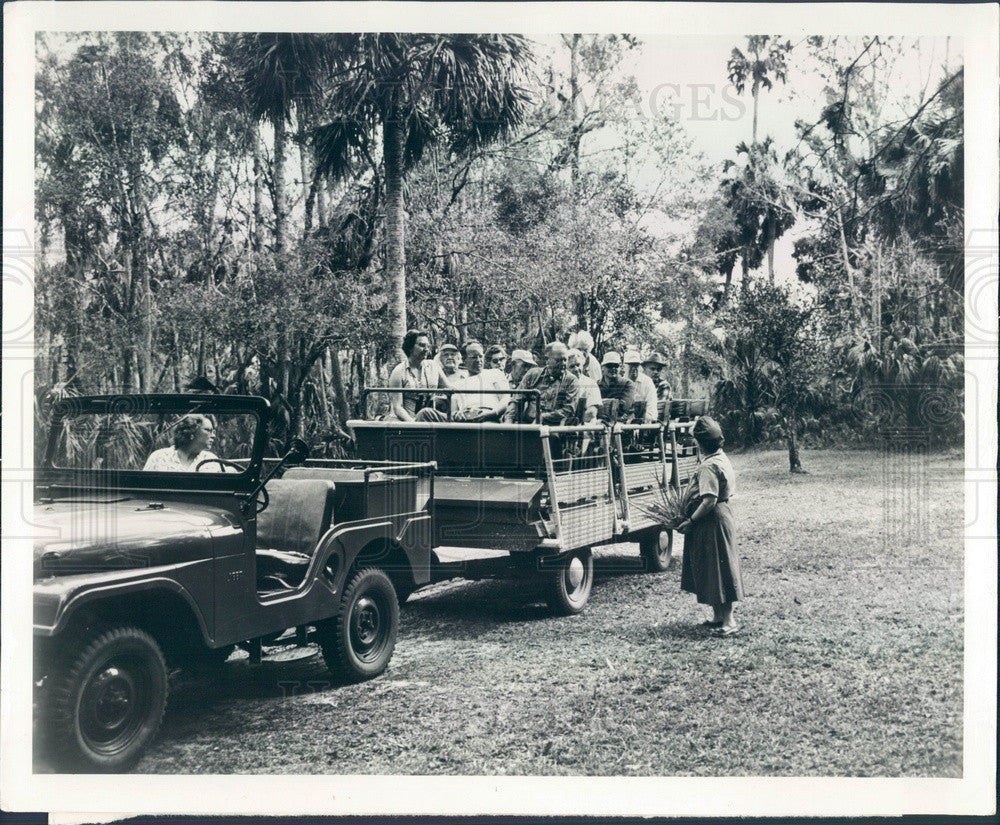 1961 Sebring, Florida Highlands Hammock State Park Press Photo - Historic Images