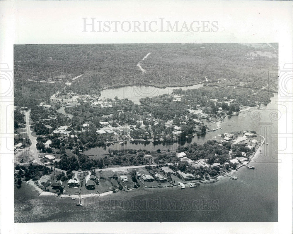 1979 Pasco County, Florida Bailey's Bluff Aerial View Press Photo - Historic Images