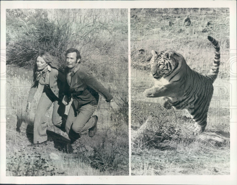 1973 American Actors Ben Gazzara & Sheree North in Maneater Press Photo - Historic Images