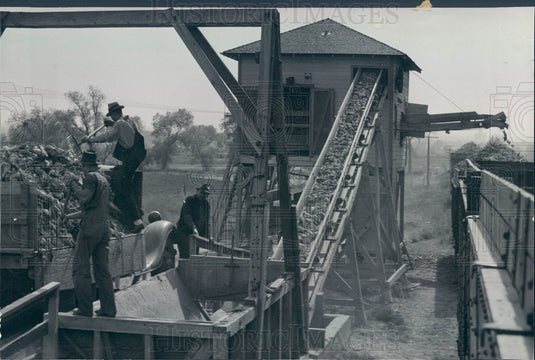 Undated Denver, CO Conveyor Belt Carrying Pears To Railroad Car Press Photo - Historic Images