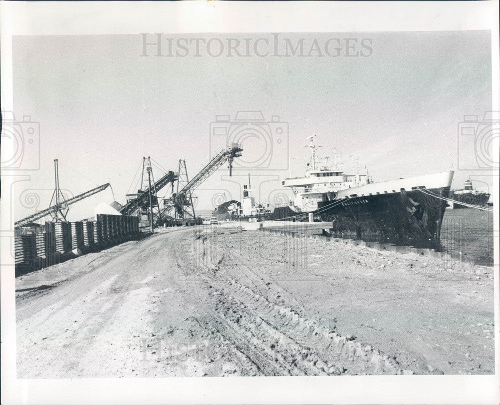 1982 Bradenton, Florida Port Manatee, Phosphate Carrier Press Photo - Historic Images
