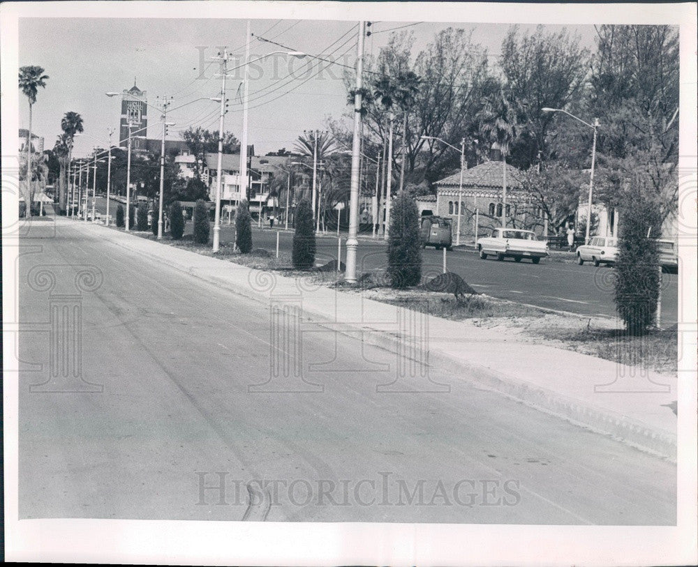 1963 St Petersburg, Florida Christmas Tree Lane, 2nd Ave N Press Photo - Historic Images